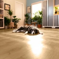 NewAge Products Stone Composite LVP Flooring 5mm Sample Kit 27 NewAge Products Stone Composite LVP Flooring 5mm Sample Kit