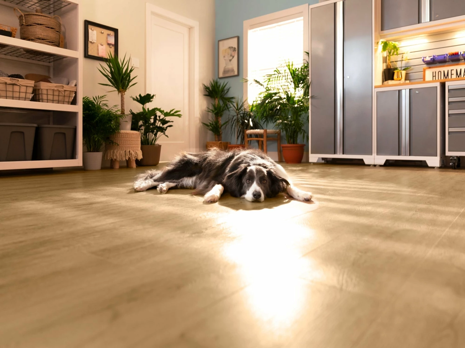 NewAge Products Luxury Vinyl Planks Stone Composite LVP Flooring 5mm 4 NewAge Products Luxury Vinyl Planks Stone Composite LVP Flooring 5mm