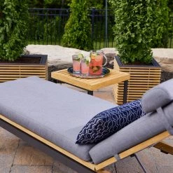 NewAge Products Sunbrella® Accent Pillow (Set Of 2)