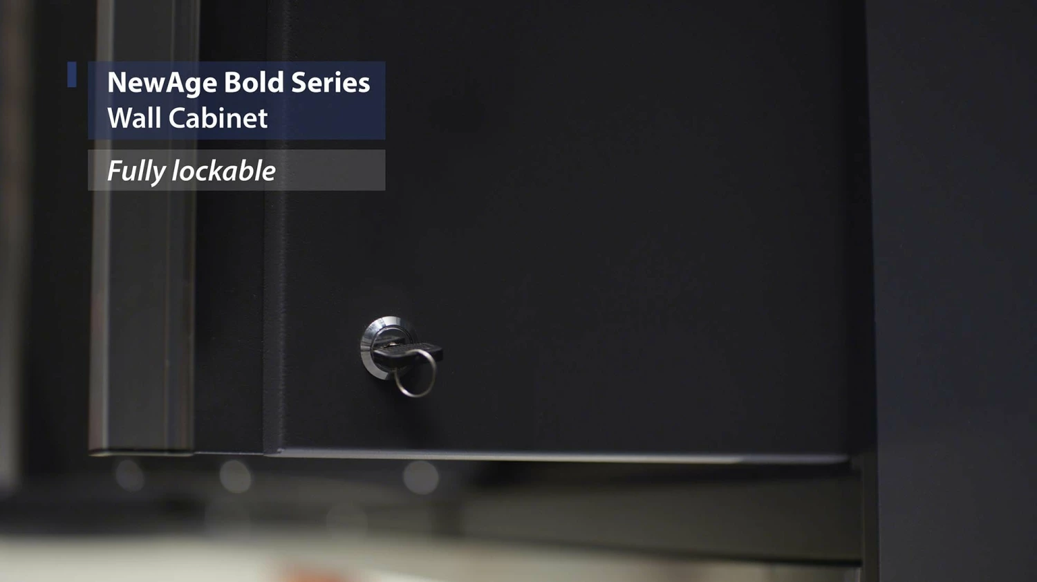 NewAge Products Garage Storage Bold Series 24 In. Wall Cabinet 11 NewAge Products Garage Storage Bold Series 24 In. Wall Cabinet