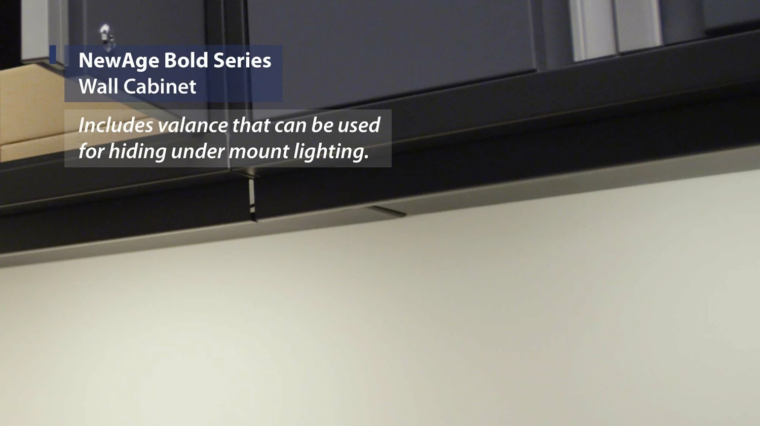 NewAge Products Garage Storage Bold Series 24 In. Wall Cabinet 12 NewAge Products Garage Storage Bold Series 24 In. Wall Cabinet