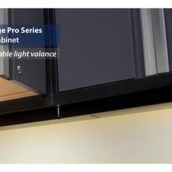 None Pro Series Wall Cabinet