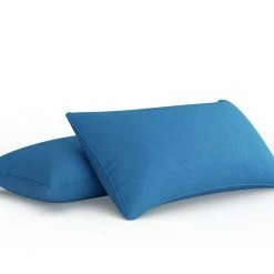 NewAge Products Sunbrella® Accent Pillow (Set Of 2)