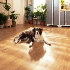 NewAge Products Stone Composite LVP Flooring 9.5mm 600 Sq. Ft. Flooring Bundle Sample Kit